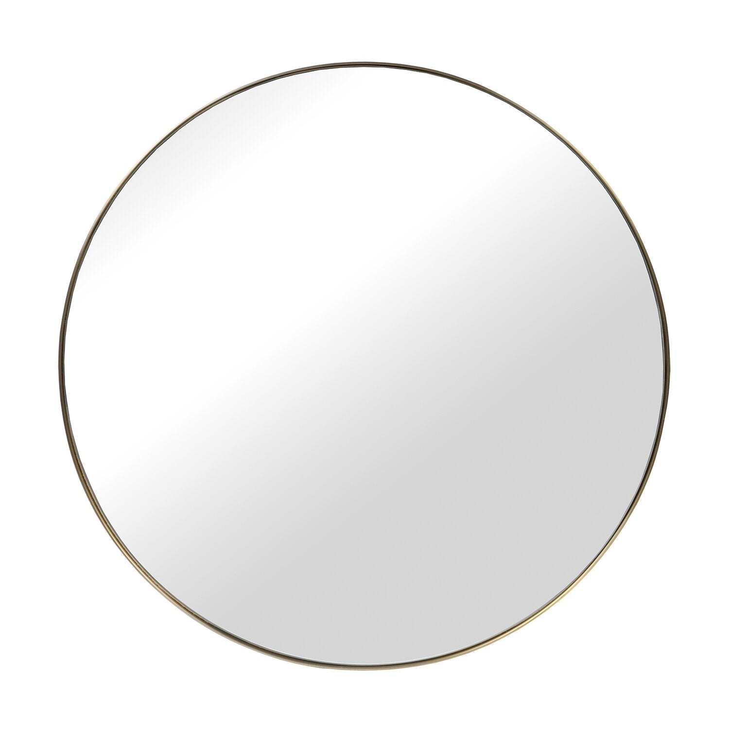 ACC96561_1.png