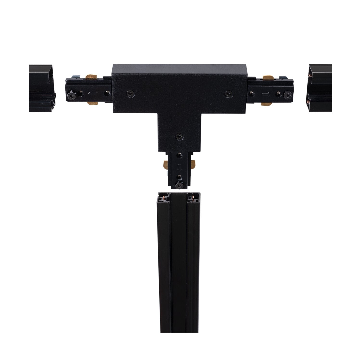 LIG95445_1.png