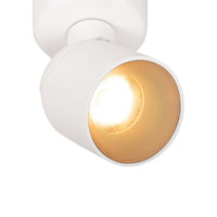 LIG93517_7.png