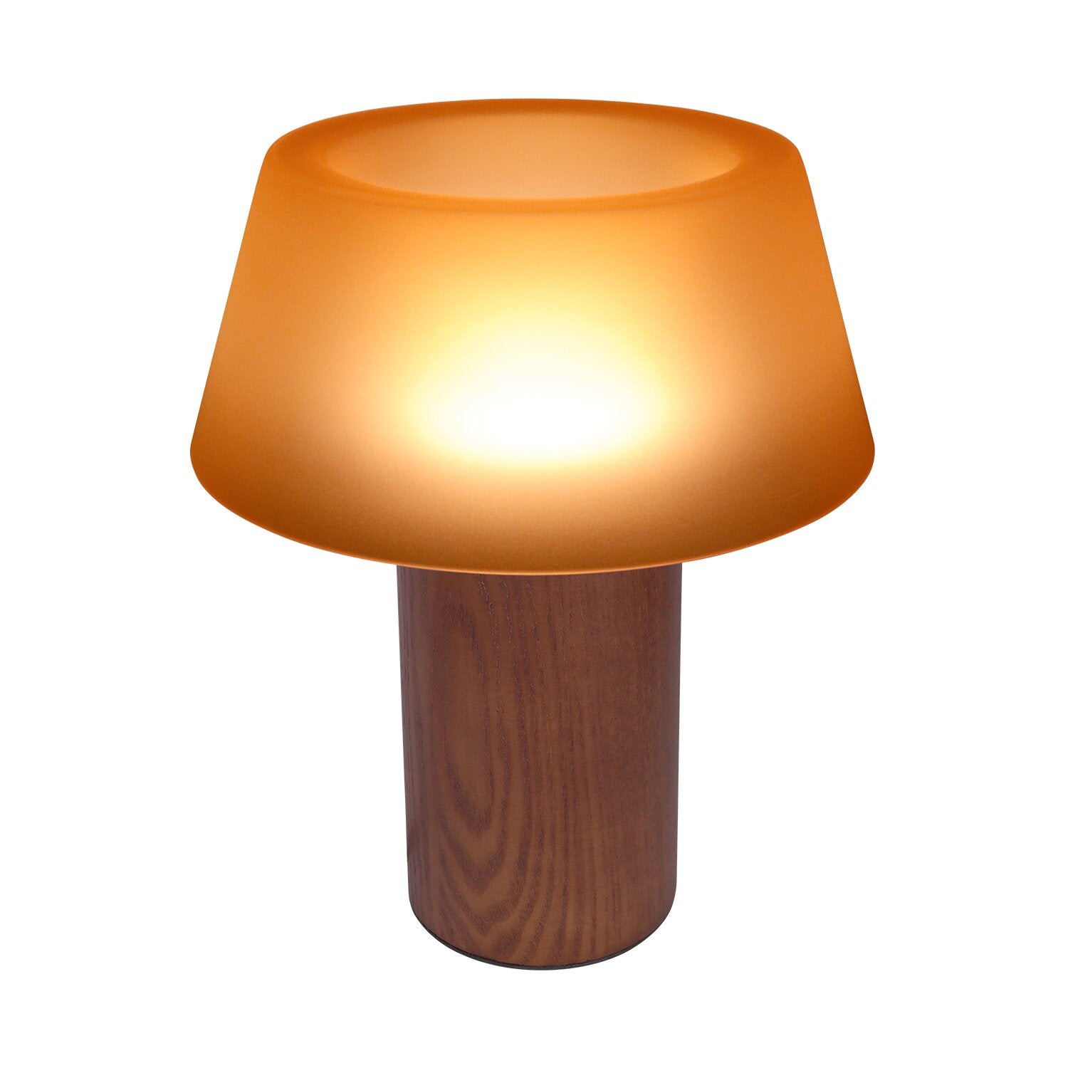 LIG93509_8.png