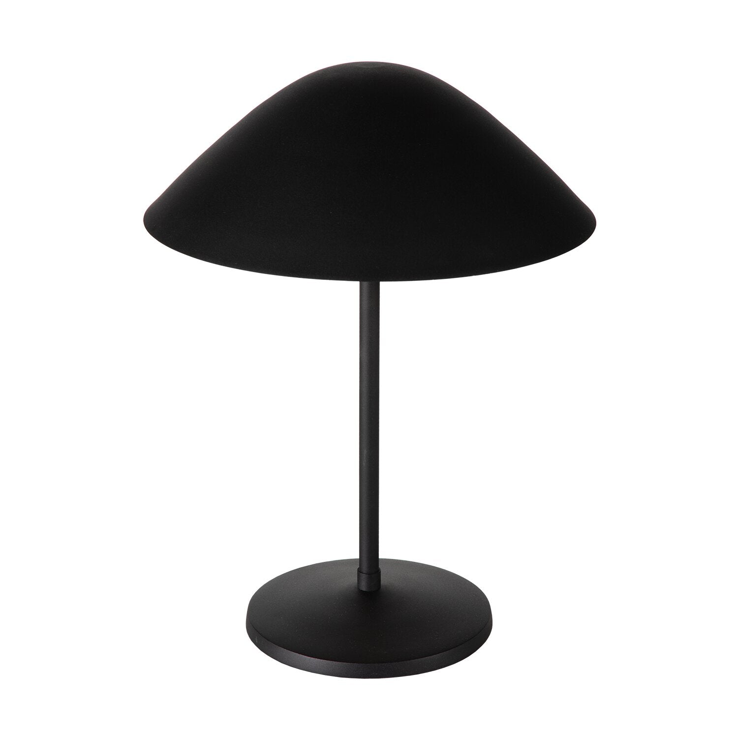 LIG95055_8.png