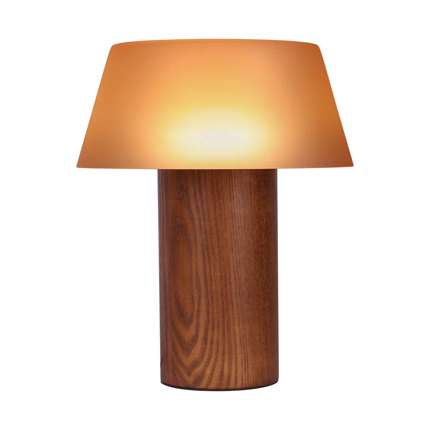 LIG93509_1.png