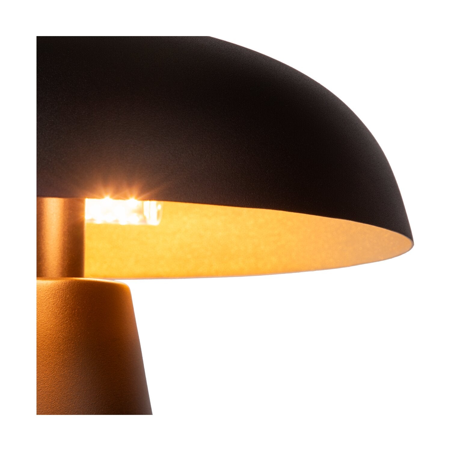 LIG94723_8.png