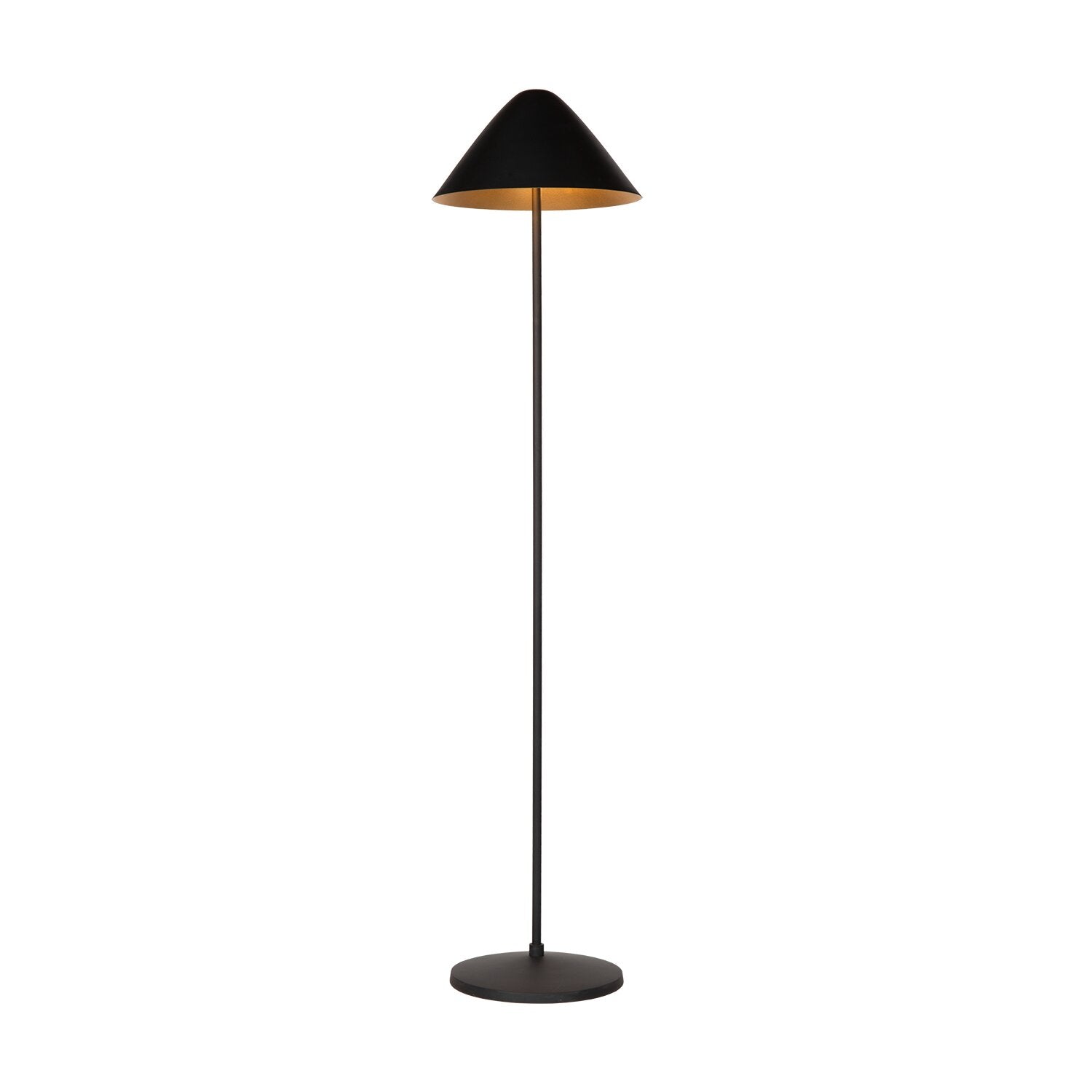 LIG95056_1.png