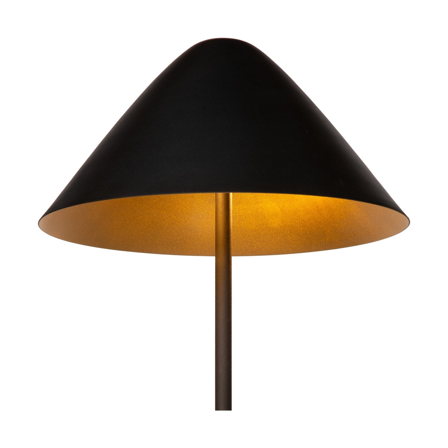 LIG95056_7.png